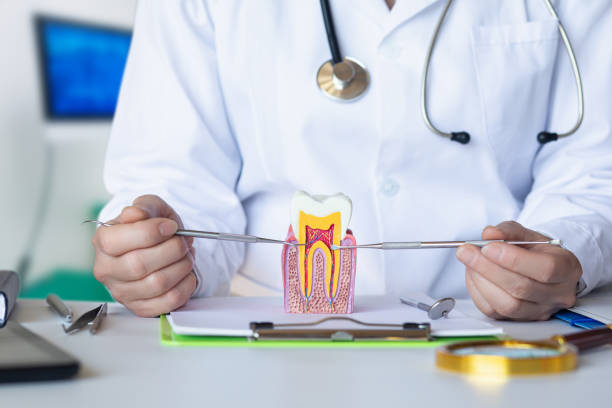 Best Emergency Dental Extractions in Bethalto, IL